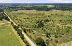 190 HWY 8 lot: Tract 12, Gorman, TX 76454