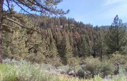 16401 Jungfrau Way, Tehachapi, CA