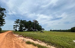 Madison lot: 378, Woodville, TX 75979