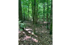 283 Madison CR 410, Fredericktown, MO 63645
