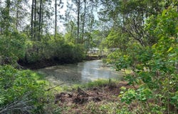 1583 BEECH Boulevard, BUNNELL, FL 32110
