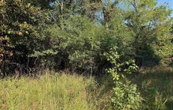 186 Wayback Lane, Cove, AR 71937