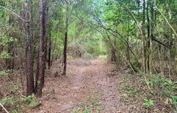 County Road 1375, Warren, TX 77664