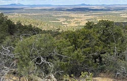 107 Silver Spur Ct Rd, Pie Town, NM 87827