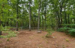 8903 Vagabond Lane, Interlochen, MI 49643-9532