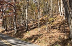 Holly Meadows Road, Parsons, WV 26287