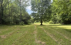 Hagerman Road, Leonard, MI 48367