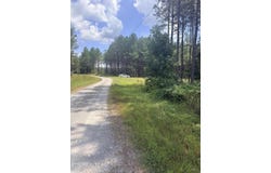 145 Black Bear Lane, Sunbright, TN 37872