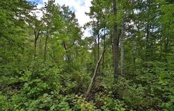 Terminal Rd, Breezy Point, MN 56472
