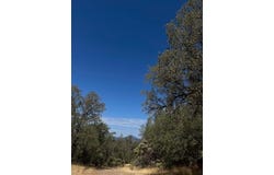 0001 Madison Avenue, Oak Run, CA 96069