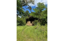 2824 FM 705, Bronson, TX 75929
