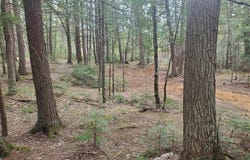 Old Plank Road, Au Train, MI 49895