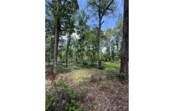 Pr 1332, Elysian Fields, TX 75642
