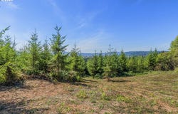 Old Tree Farm Dr, Longview, WA 98632