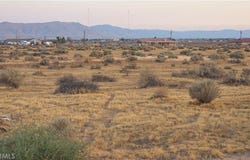 Joshua, Apple Valley, CA 92307