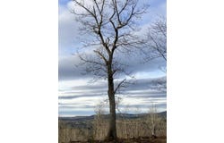45a Chandler Road, Monroe, ME 04951