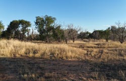C R 5400, Lubbock, TX 79415