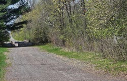 1336X Golden Road, Milaca, MN 56353
