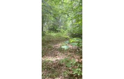 Cushman School Road, Phillips, ME 04966