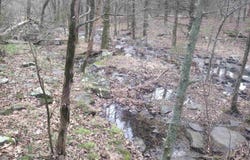 tract 3 HWY 14 E, Mountain View, AR 72560