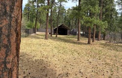 8269 Zorn Rd, Rye, CO 81069