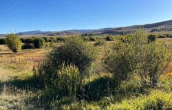 S US Hwy 89, Bloomington, ID 83223