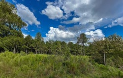 200 Edgewood Drive, Saint Matthews, SC 29135