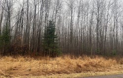 ON County Highway I, Ogema, WI 54459