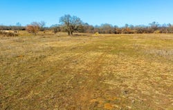 202 Tillery, Perrin, TX 76486