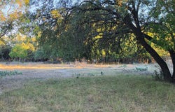 714 Bailey Street, Eden, TX 76837