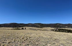 197 Baler Ct, Hartsel, CO 80449
