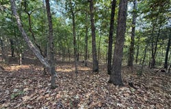 Stanfield Road, Poughkeepsie, AR 72466