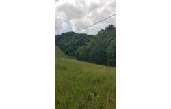Thayer, MO 65791