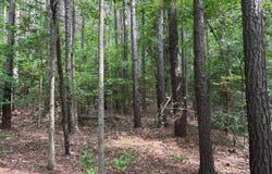 lovett Rd., Strong, AR 71765