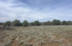 51 W Boiling Pot Road, Ash Fork, AZ 86320