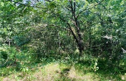 Crennan Lane, Hearne, TX 77859