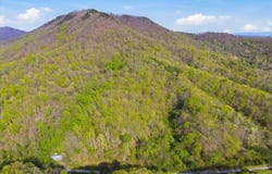 Luttrell, TN 37779