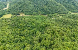 9999 State Hwy 223, Flat Lick, KY 40935