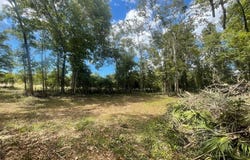 HWY 361, Steinhatchee, FL 32359