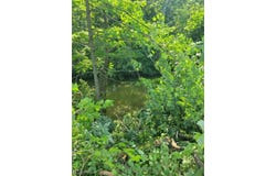 West Avenue, Elyria, OH 44035