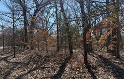 VL S Arrowhead Trail, Baldwin, MI 49304
