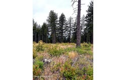 Dollar Creek Dr lot: 2, Sagle, ID 83860