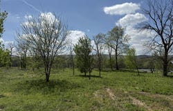 Kate Lane, Batesville, AR 72501