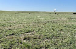 County Road 125, Deer Trail, CO 80105