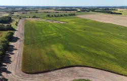 County 61, Browerville, MN 56438