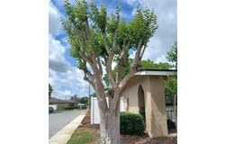 530 CASCADE Circle, CASSELBERRY, FL 32707