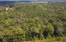Highway 3, Blackville, SC 29817