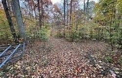 Aladdin Road, Pfafftown, NC 27040