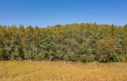 Tract D TBD Little Pine Road, Brainerd, MN 56401