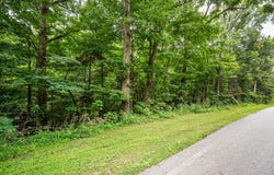 Old Bon Air Rd, Sparta, TN 38583